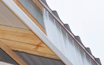 why East Holywell fascia repairs are essential