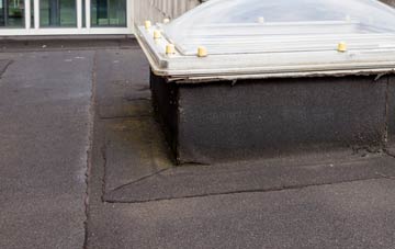 disadvantages of East Holywell flat roofs