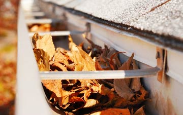 East Holywell gutter cleaning companies