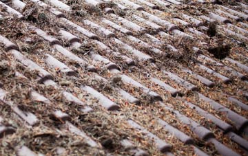 East Holywell roof cleaning companies